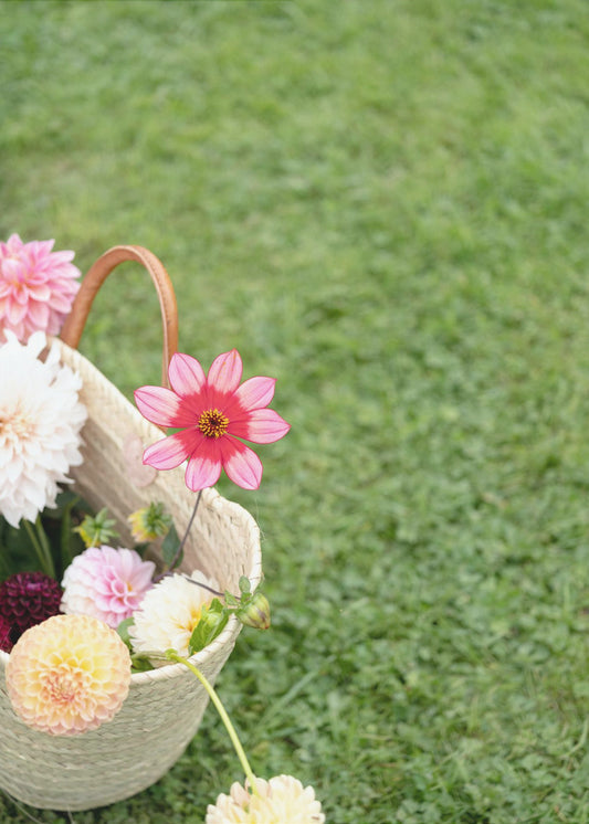 Bunte Blumen in einem Korb | Leinwand