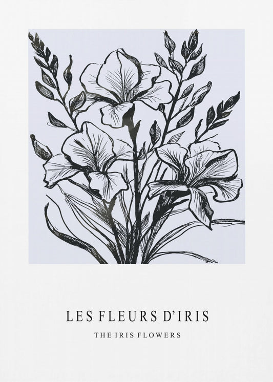 Irisblüten in einer monochromen Illustration | Leinwand