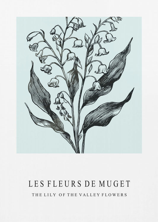 Maiglöckchenblüten in einer monochromen Illustration | Leinwand