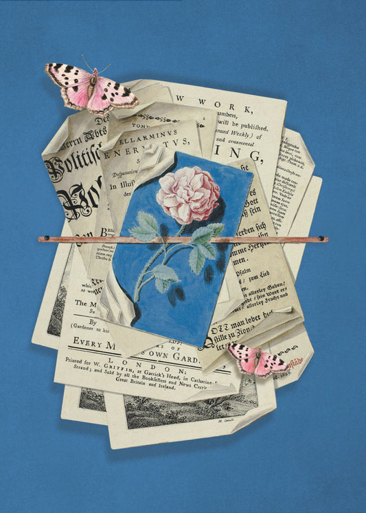Rosa Rose umgeben von Vintage-Papier | Leinwand