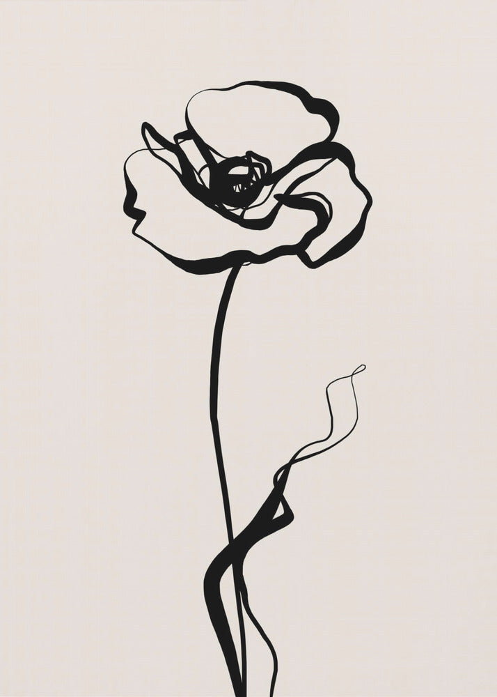 Mohnblume 2 | Leinwand