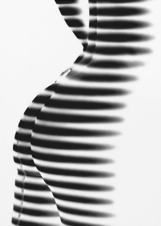 Zebra | Leinwand