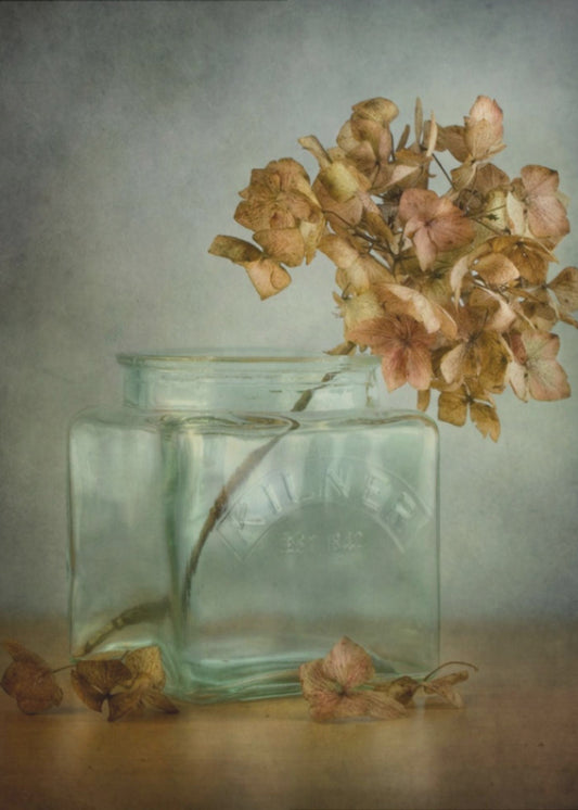 Hortensie | Leinwand