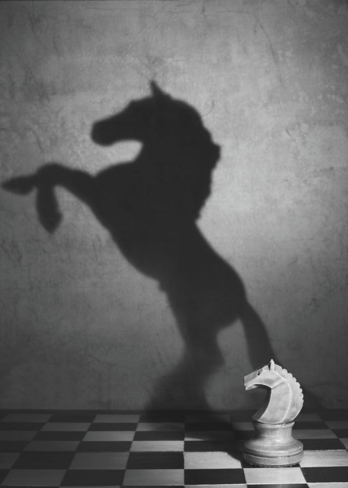Die Seele eines Mustangs | Leinwand