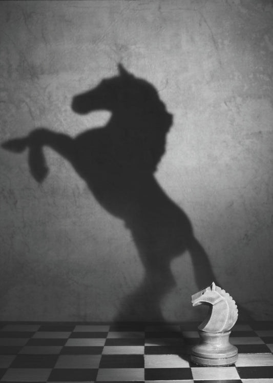 Die Seele eines Mustangs | Leinwand