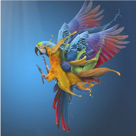 Fliegende Farben | Leinwand