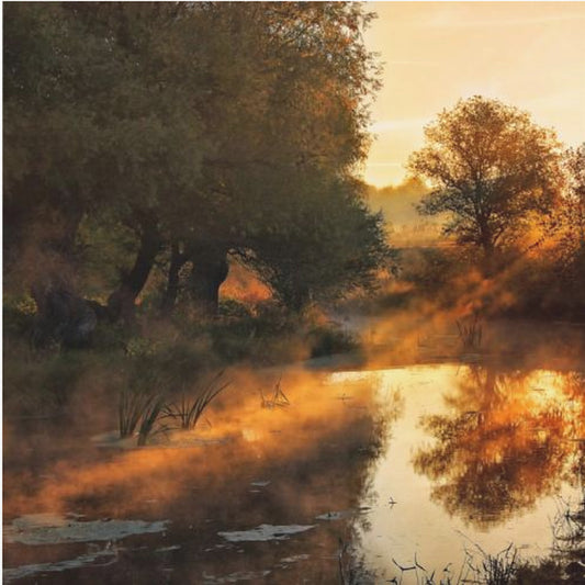 Wenn die Natur mit Licht malt I | Leinwand