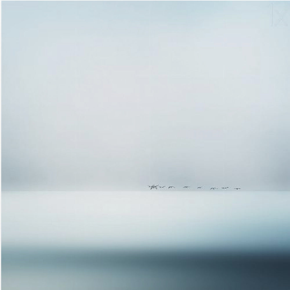 Wildgänse | Leinwand